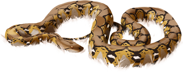 ilustração do animal