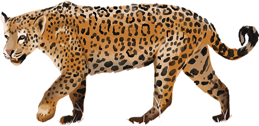 ilustração do animal