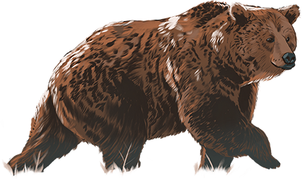 ilustração do animal