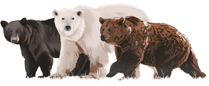 ilustração do animal